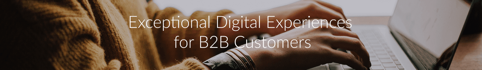 Hands typing on laptop, 'Exceptional Digital Experience for B2B Customers' text overlay.