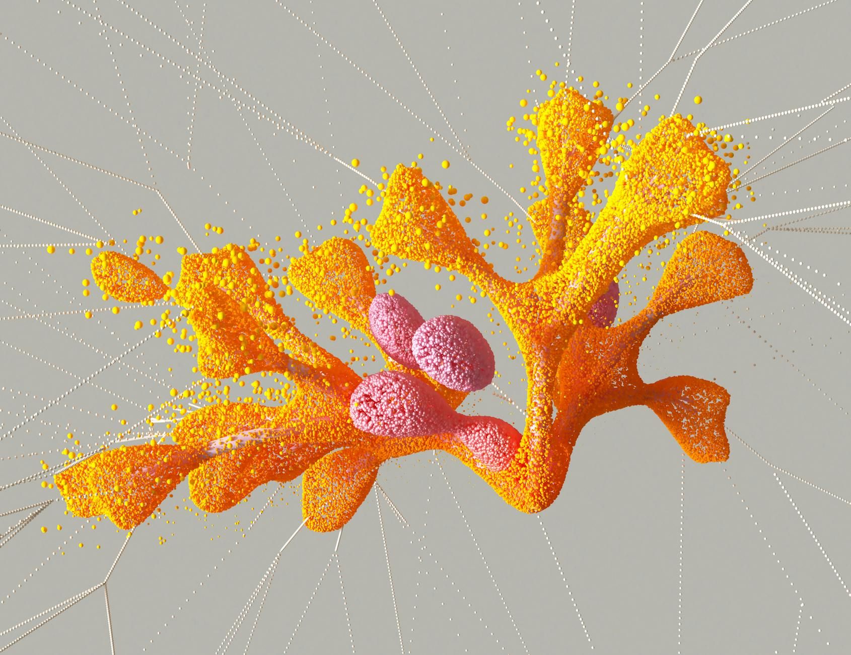 Abstract orange and yellow coral-like structure with pink elements on a gray background.