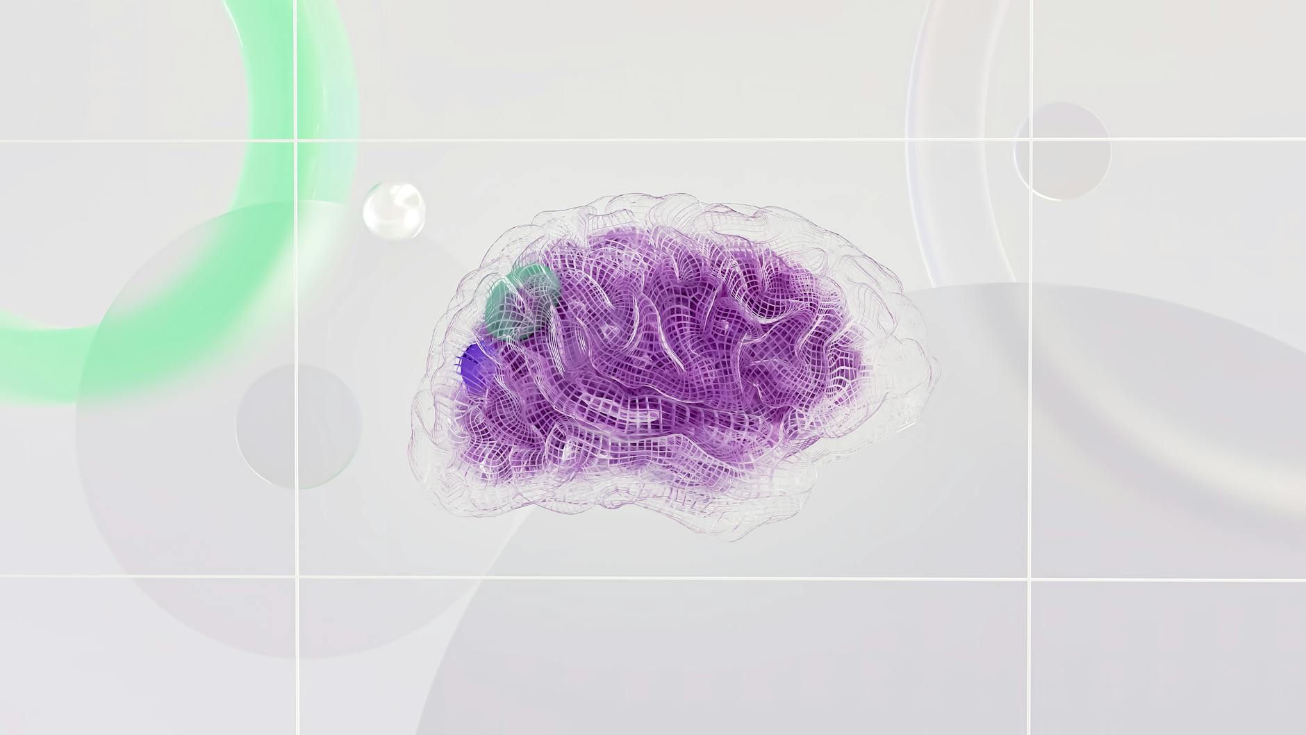 Stylized translucent purple brain model with a highlighted green section, against a light grid background.