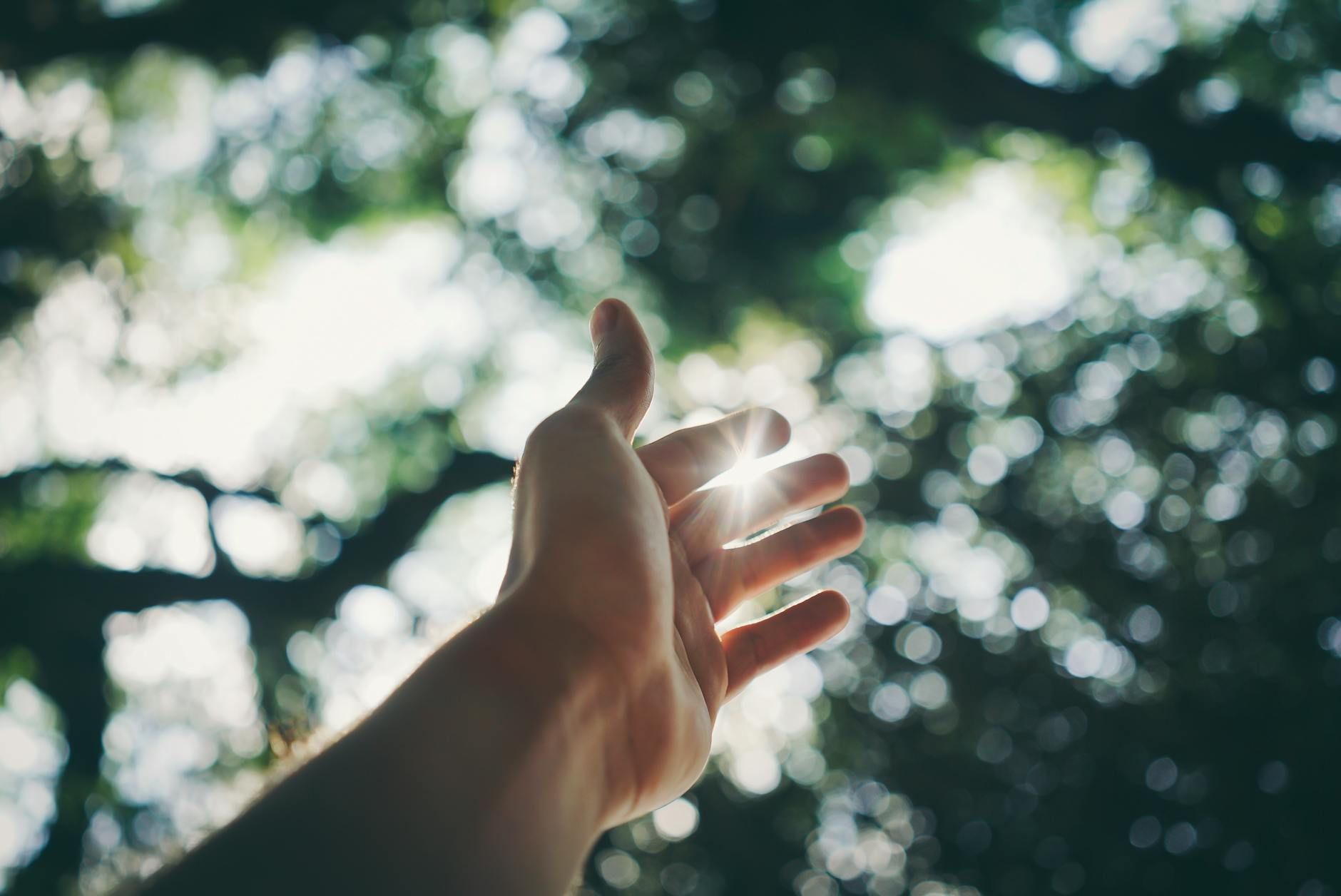 A hand reaches towards sunlight filtering through a blurred canopy of green trees.